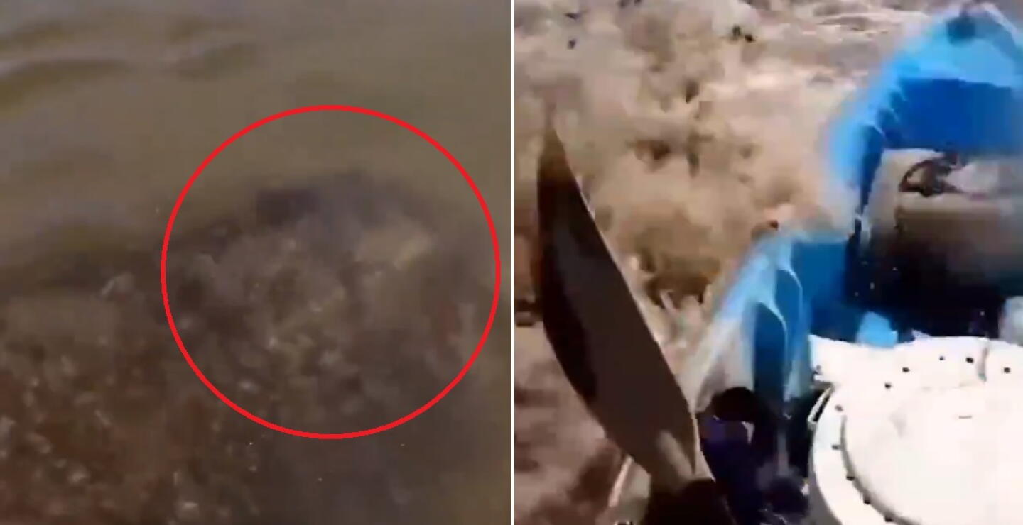 Deportista de kayak se llevó tremendo susto