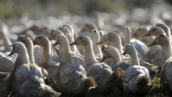 278777_Foto referencia: AFP
