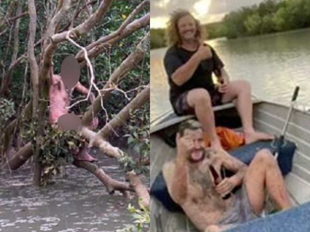 Hombre desnudo en Australia noticiero tvm.jpg