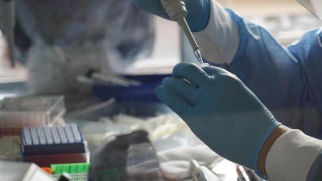 Esperanza en un posible tratamiento contra el coronavirus impulsó los mercados mundiales