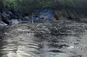 Derrame de crudo en Nariño: contaminación de cinco ríos golpea a 12 mil habitantes