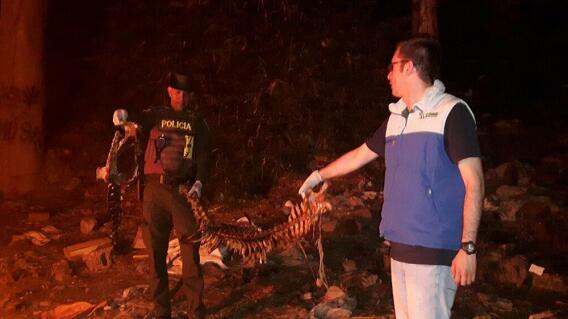 273689_Foto Operativo de control a emisión de colores CDMB