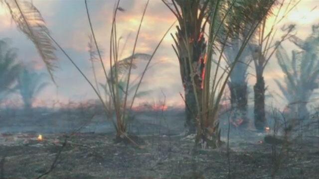 Incendio en Nilo, Cundinamarca, ha arrasado más de 80 hectáreas de flora silvestre