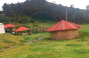 285882_Blu Radio / Foto: Blu Radio