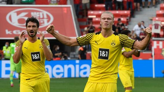 Erling Haaland Erling Haaland