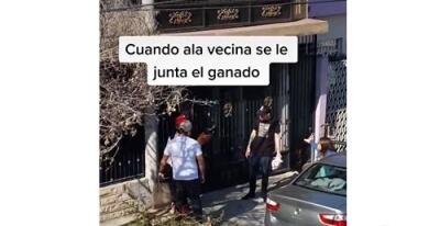 Infiel