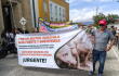 Porcicultores protestaron frente a la Gobernación de Santander