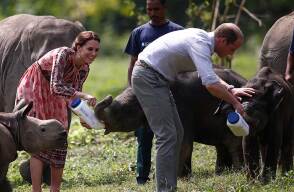 Estuvieron de safari por el parque natural de Kaziranga y alimentaron a los elefates bebés