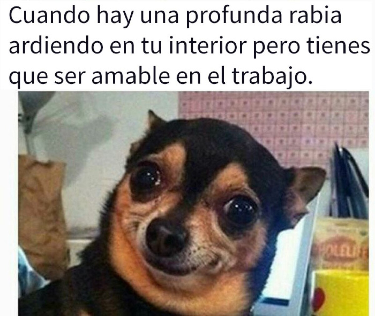 15 memes sobre trabajo en la oficina