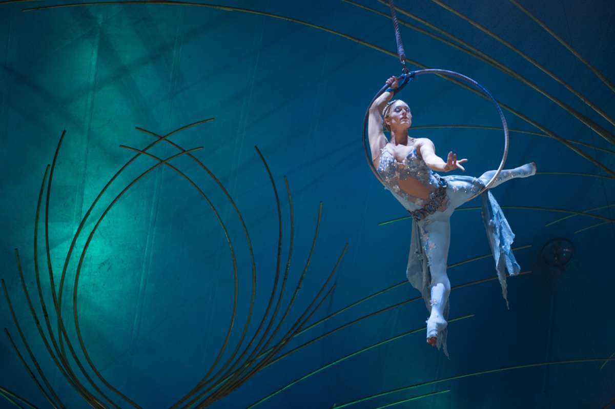 636491_amaluna_cirque_du_soleil_shock_davod_schwarz7377.jpg