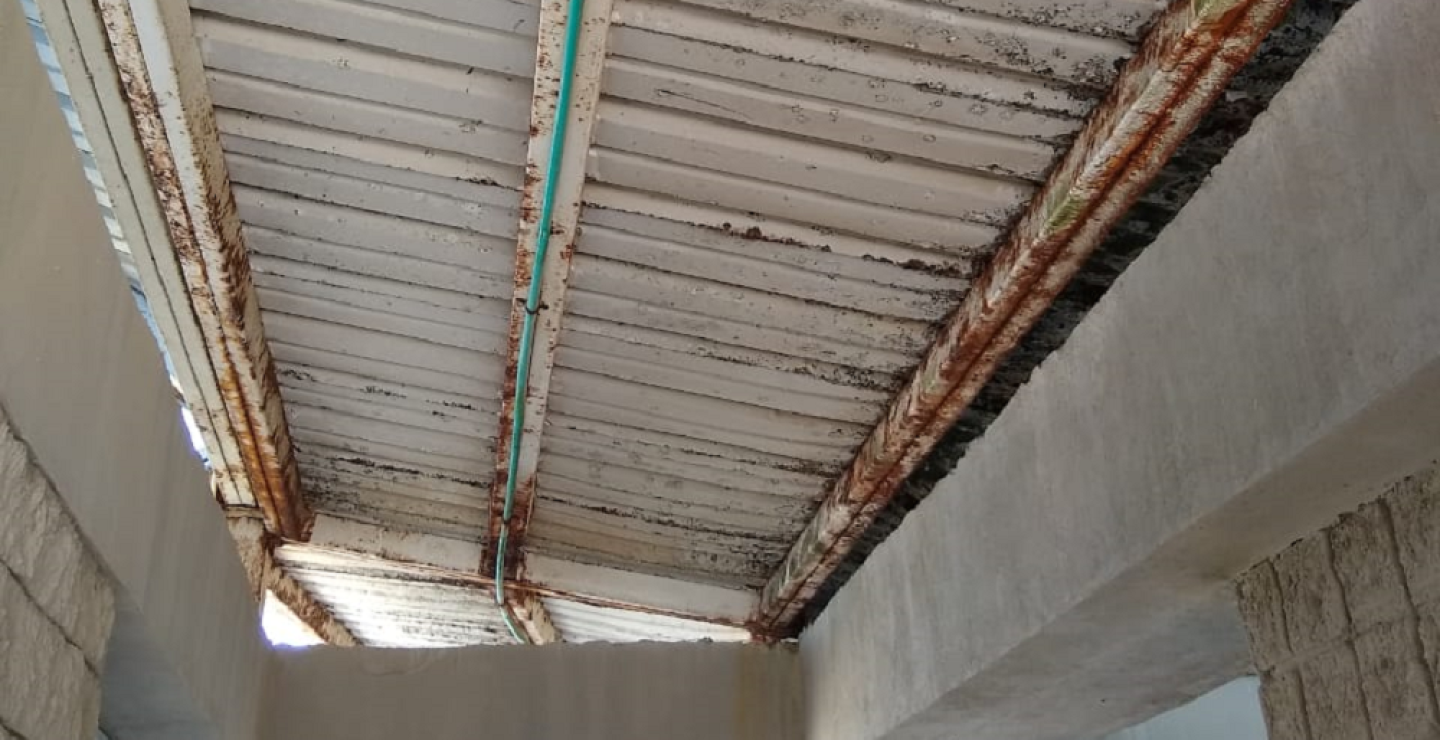 344026_BLU Radio. Peregrinos de las aulas / Foto: BLU Radio