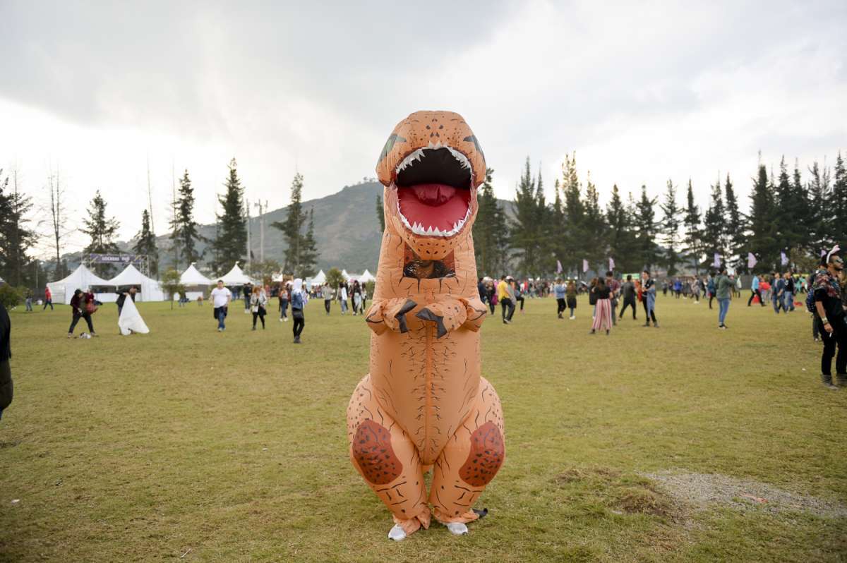 639792_estereo_picnic_2019_dia_3_13.jpg