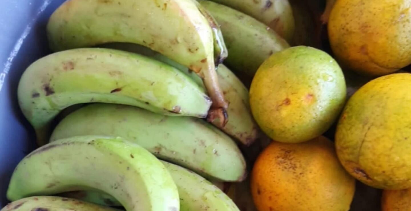 Alimentos en mal estado en Córdoba PAE 