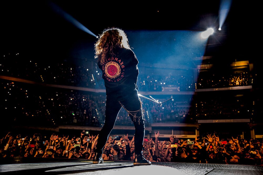 643512_whitesnake-1_0.jpg