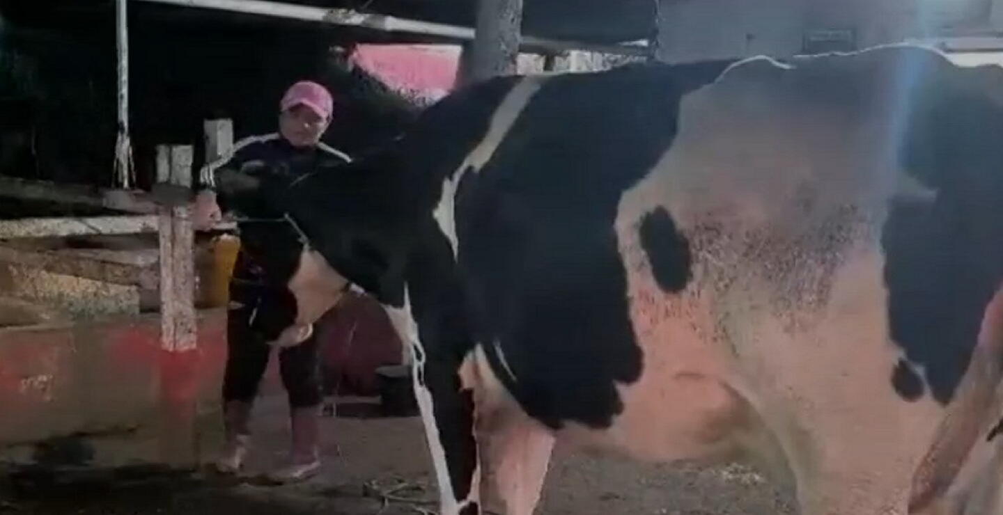 Por paro de camioneros, cerca de 290.000 litros de leche se perderían en Boyacá