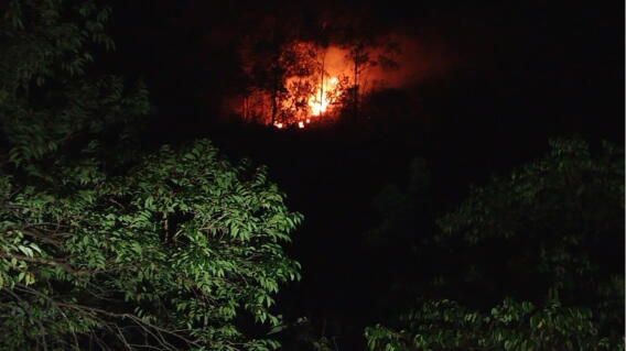 Incendio Forestal en Zapatoca.