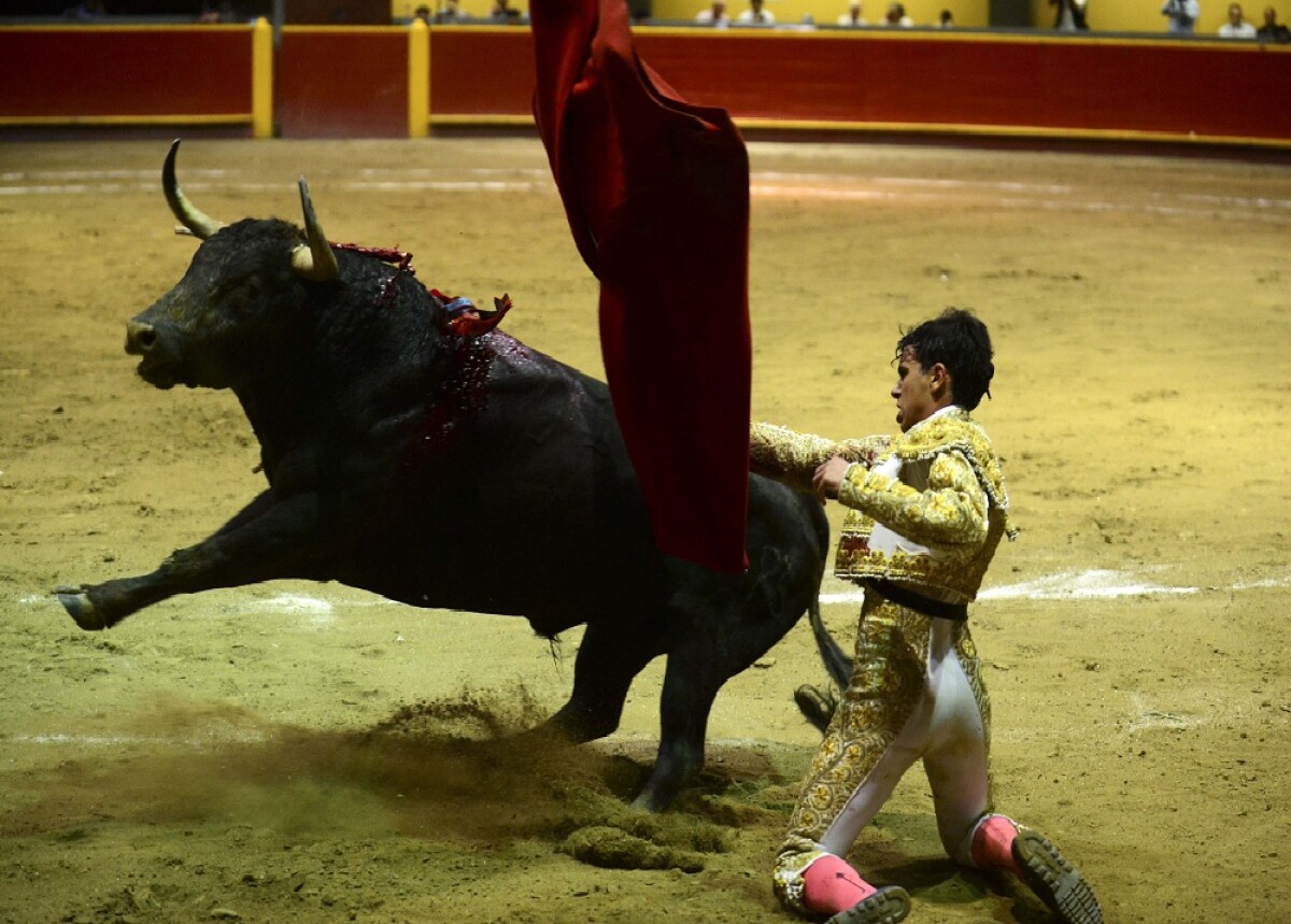 266627_Foto referencia AFP