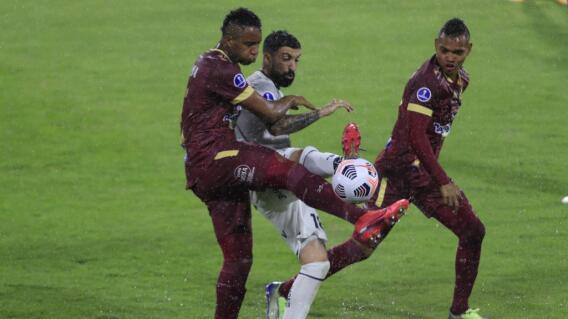 Tolima - Tall Tolima - Tall