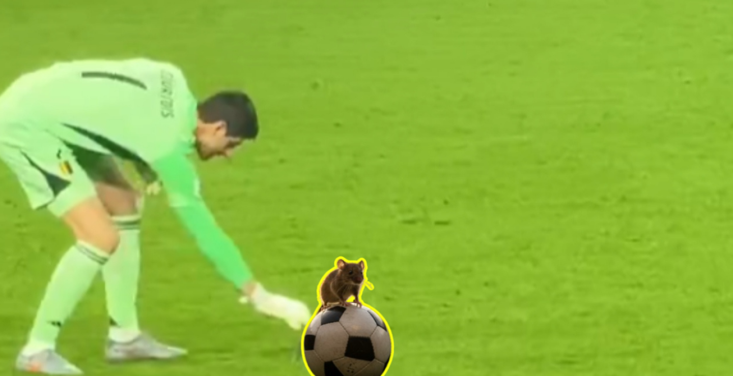 Ratón invade cancha de fútbol y desata pánico; hay video