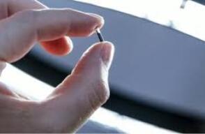 Microchip Microchip