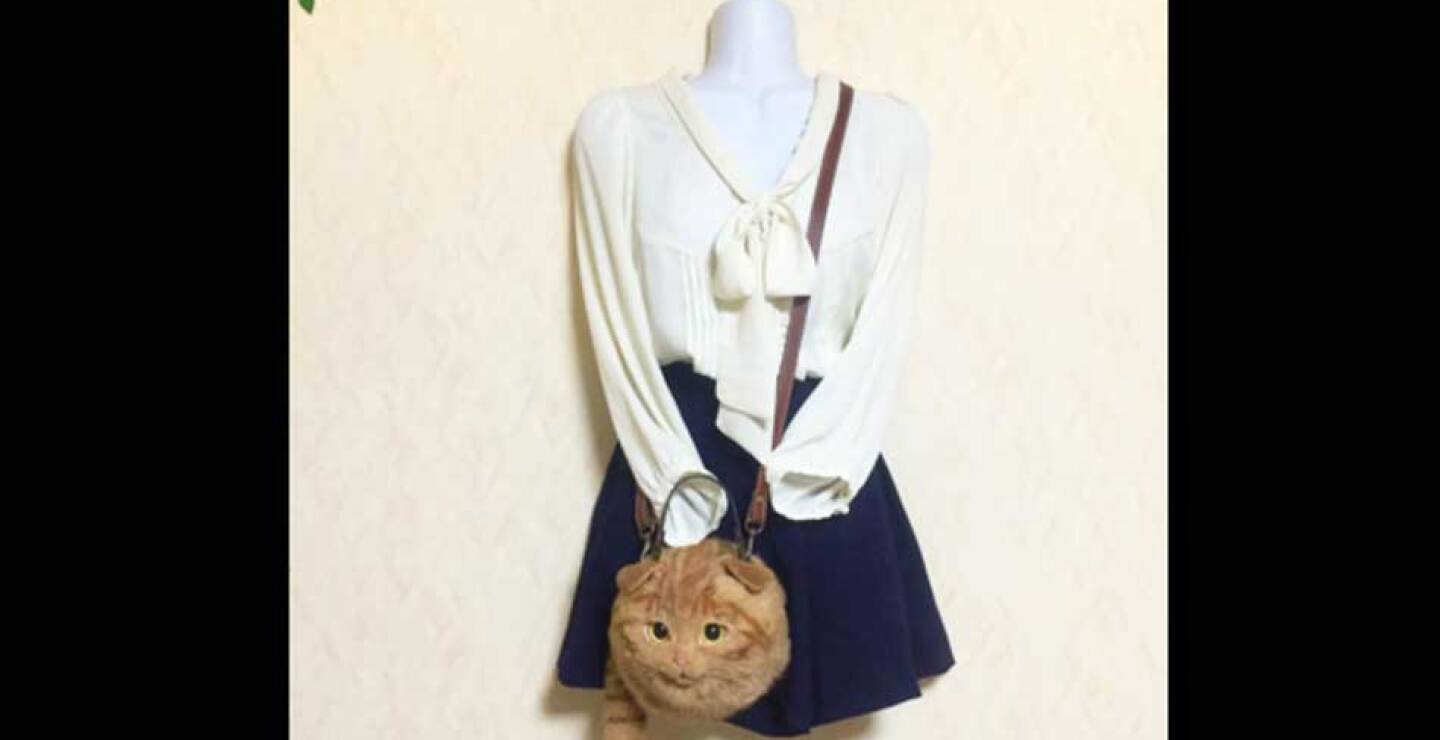 gato-14.jpg