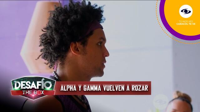 Alpha y Gamma tienen un problema en el Box Rojo del Desafío The Box.