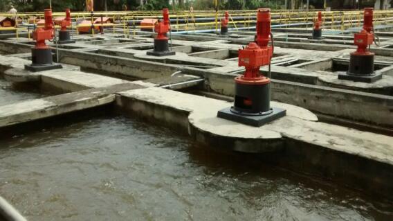 232413_Foto: Cortesía.