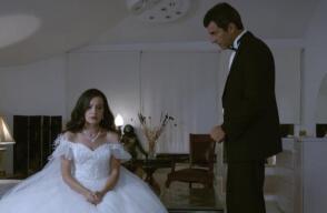 394537_omer1.jpg