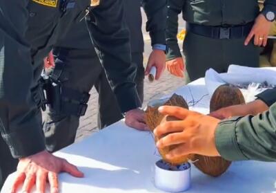 Cargamento de cocaína oculto en 18 toneladas de cocos con rumbo a España: así la incautaron