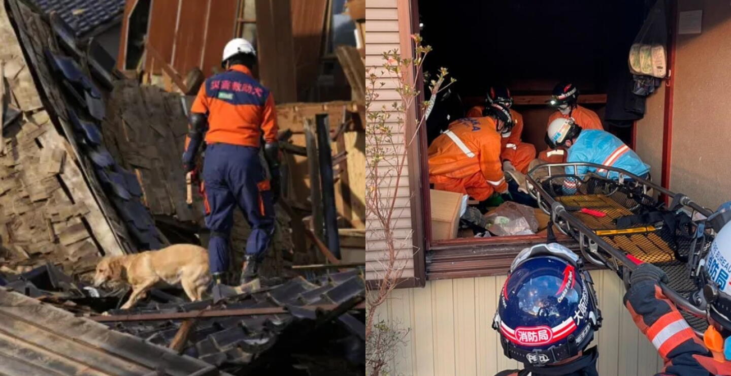 Perrita salvó a abuelita de 80 años que estaba bajos los escombros por terremoto en Japón