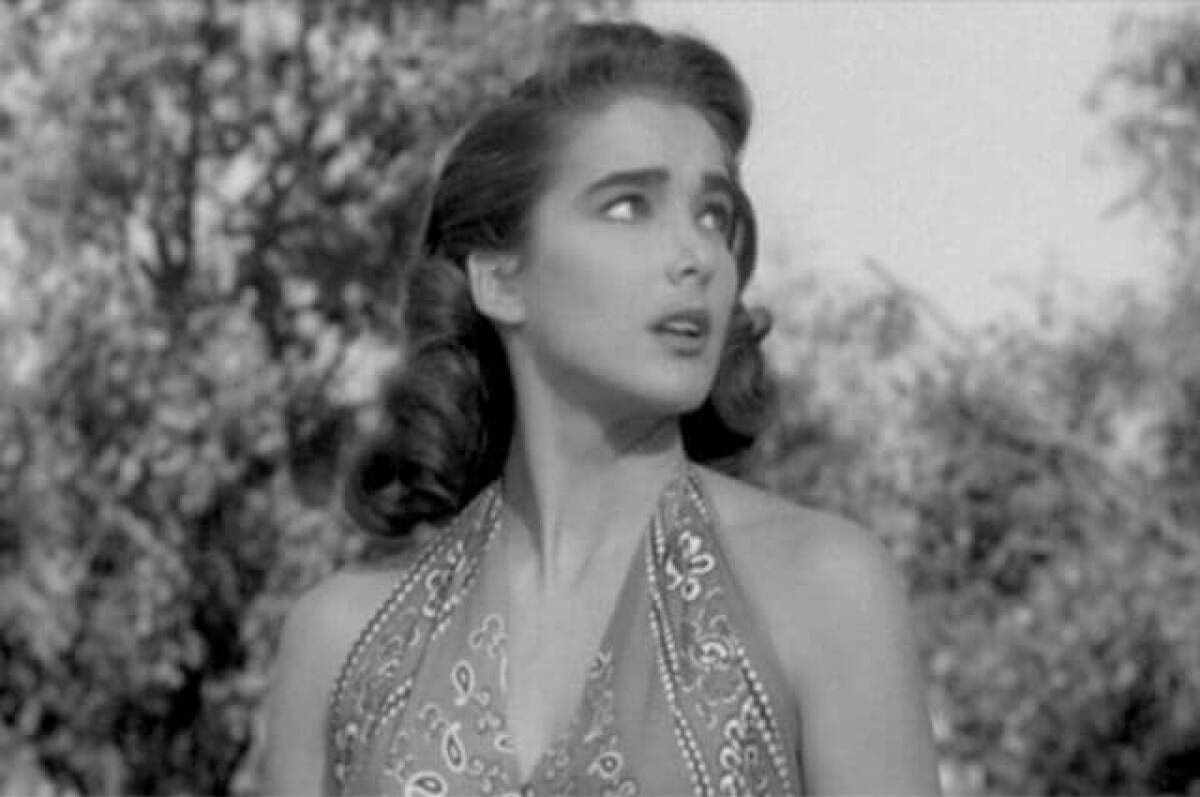 julie-adams.jpg