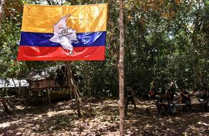 0909farc.jpg