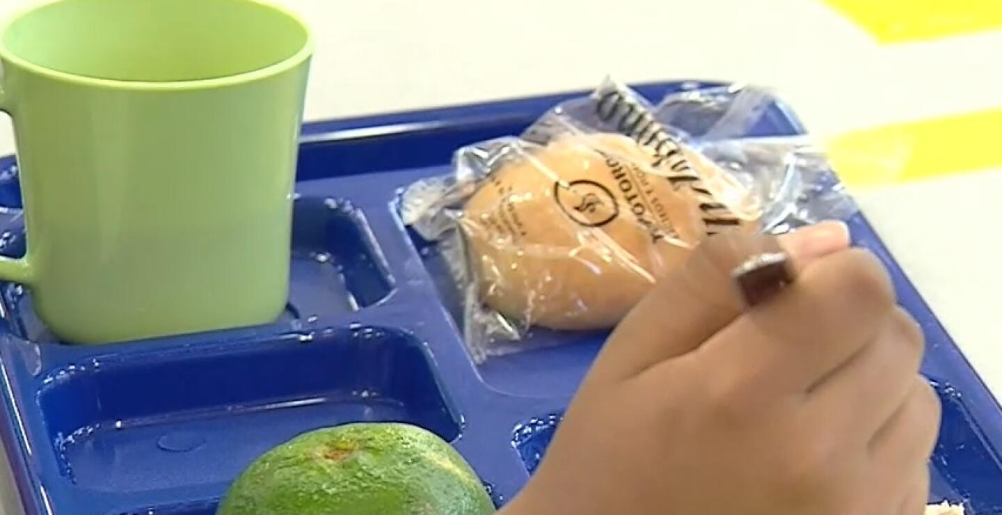 PAE tuvo cobertura de 74,4% durante 2021 y hubo casos de alimentos con “presencia de gusanos”