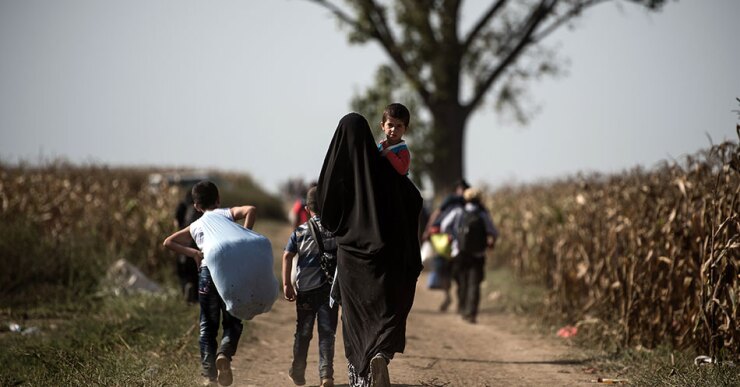 "Soy de Siria. Me gustaría ir a Alemania para completar ahí mis estudios de ingeniero de comunicaciones", cuenta a Efe Faht en una de esas sendas escondidas entre campos de maíz por las que pasan de Serbia a Croacia en la vasta llanura de Sre