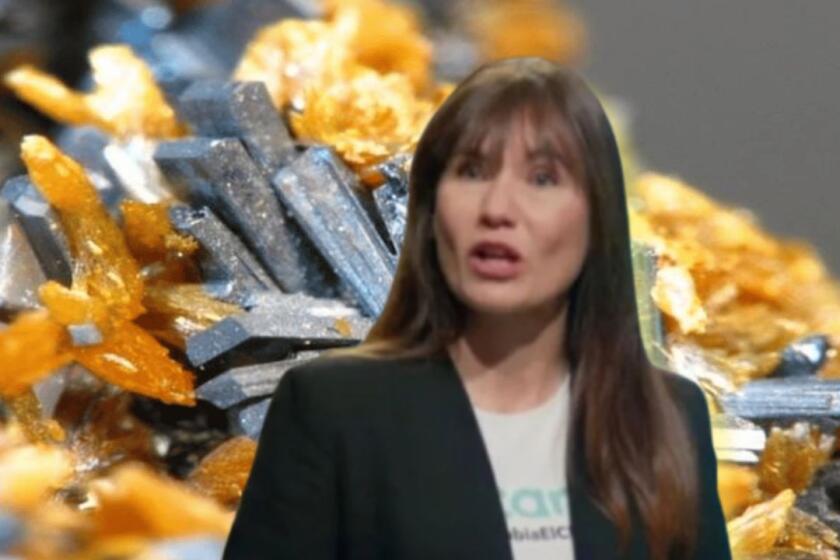 Zulma Guzmán y cómo habría conseguido el talio