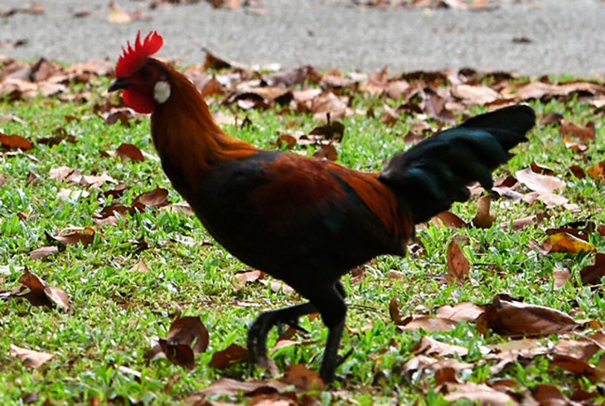 204501_la-finca-de-hoy.jpg