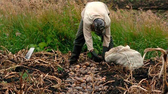Uribistas, Polo y FARC, preocupados por ley de tierras