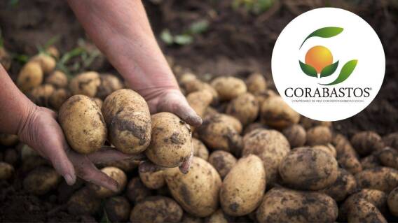 Precios Corabastos Bogotá hoy 30 de julio de 2025 Precios Corabastos Bogotá hoy 30 de julio de 2025