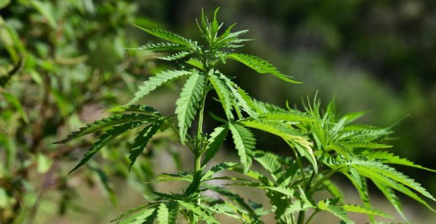 PARAGUAY-BRAZIL-CRIME-DRUGS-POLICE