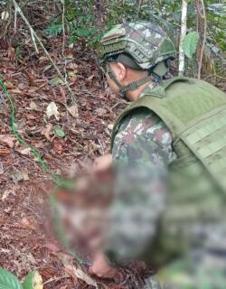 Con ayuda de un canino especializado antiexplosivos, fueron ubicadas las minas en zona rural de Anorí