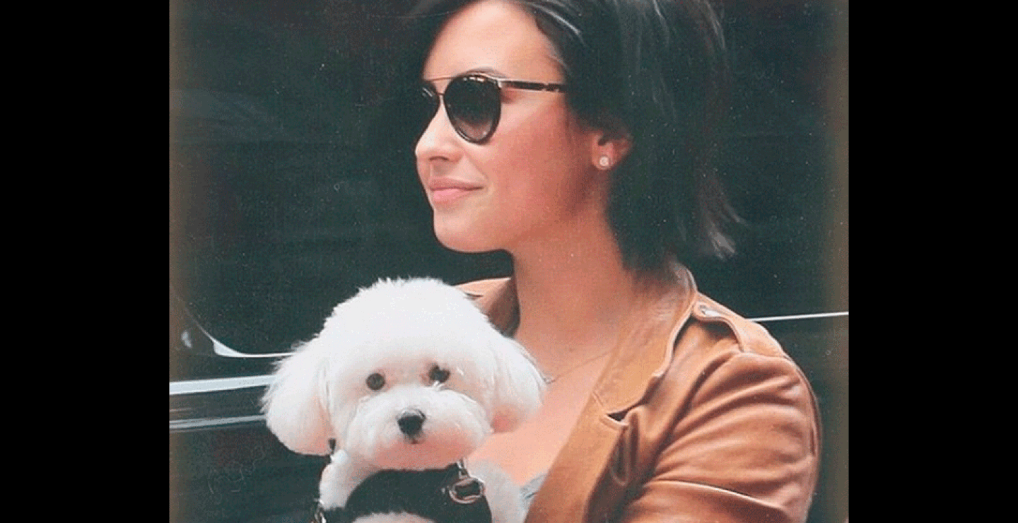demi4.gif