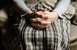 Imagen de referencia