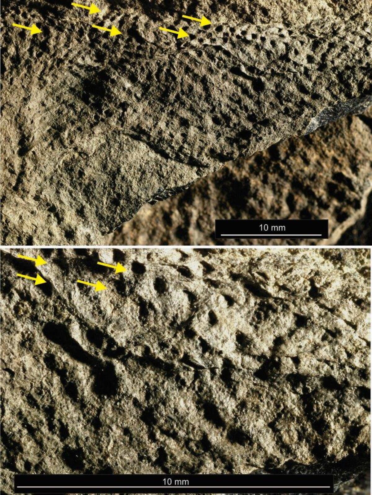 21453_000_1pv8ra.jpg