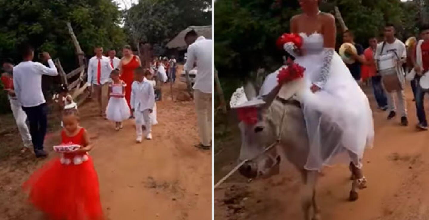 matriburro.jpg