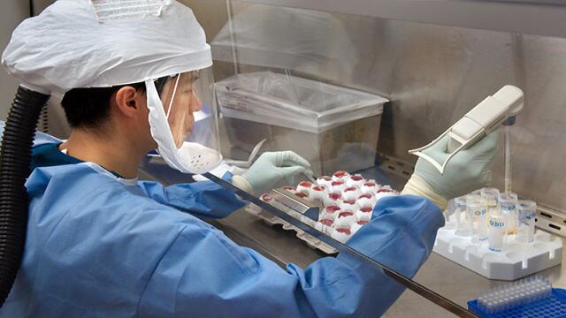 ¿En qué consiste el coronavirus descubierto en China y cuáles son sus síntomas?