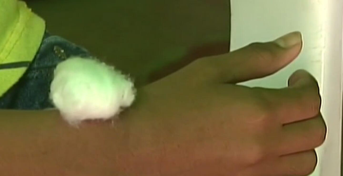 papiloma.jpg