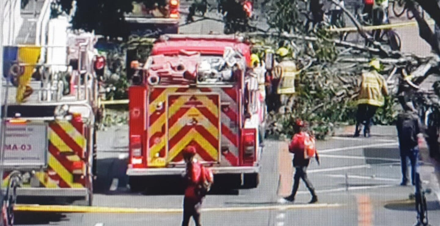 En plena ciclovía, un árbol le cae a una ciudadana: impresionantes imágenes