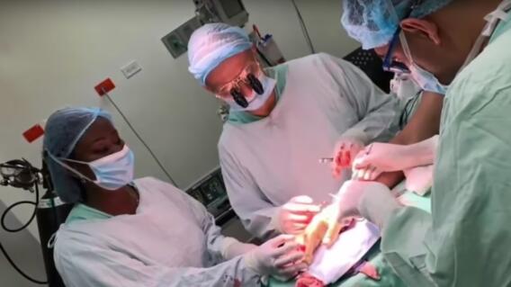 334921_Blu Radio/ Cirugía de reimplante de mano. Foto: Noticias Caracol