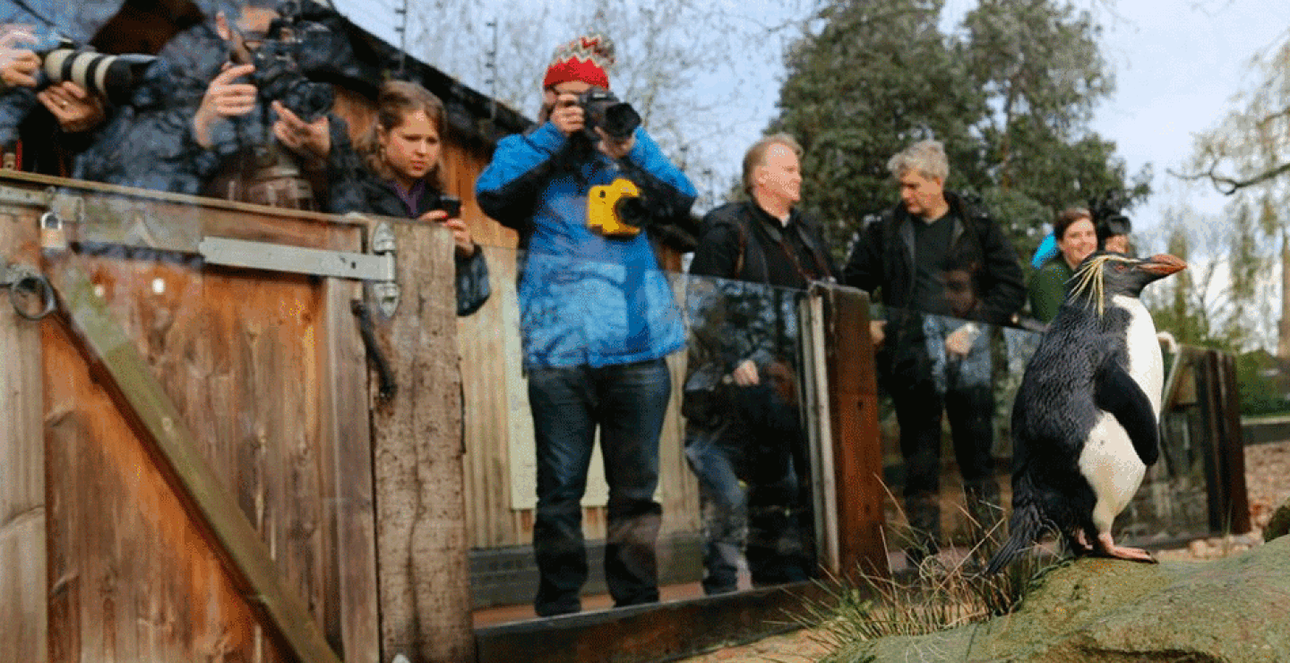 londonzoo7.gif