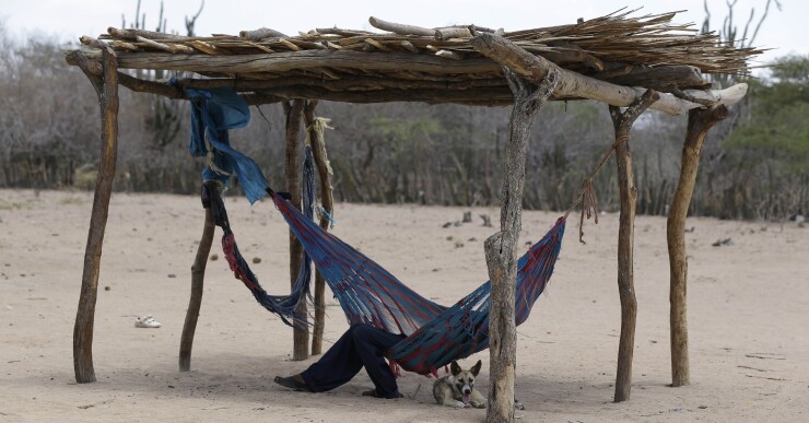 El hambre, a la que agrava una sequía que ha durado dos años, figura entre los mayores problemas que enfrentan los wayúu, una tribu ancestral de 600.000 personas que están atrapadas en medio del combate de Venezuela al contrabando a lo largo de la fron
